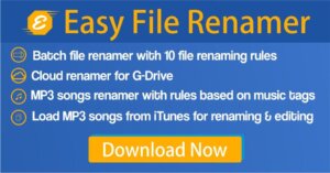 Easy File Renamer 4.9.8.4 With Crack Full Free Download [Latest]
